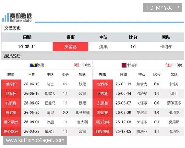 世界杯波黑VS卡塔尔控球率详细统计及比赛关键数据分析